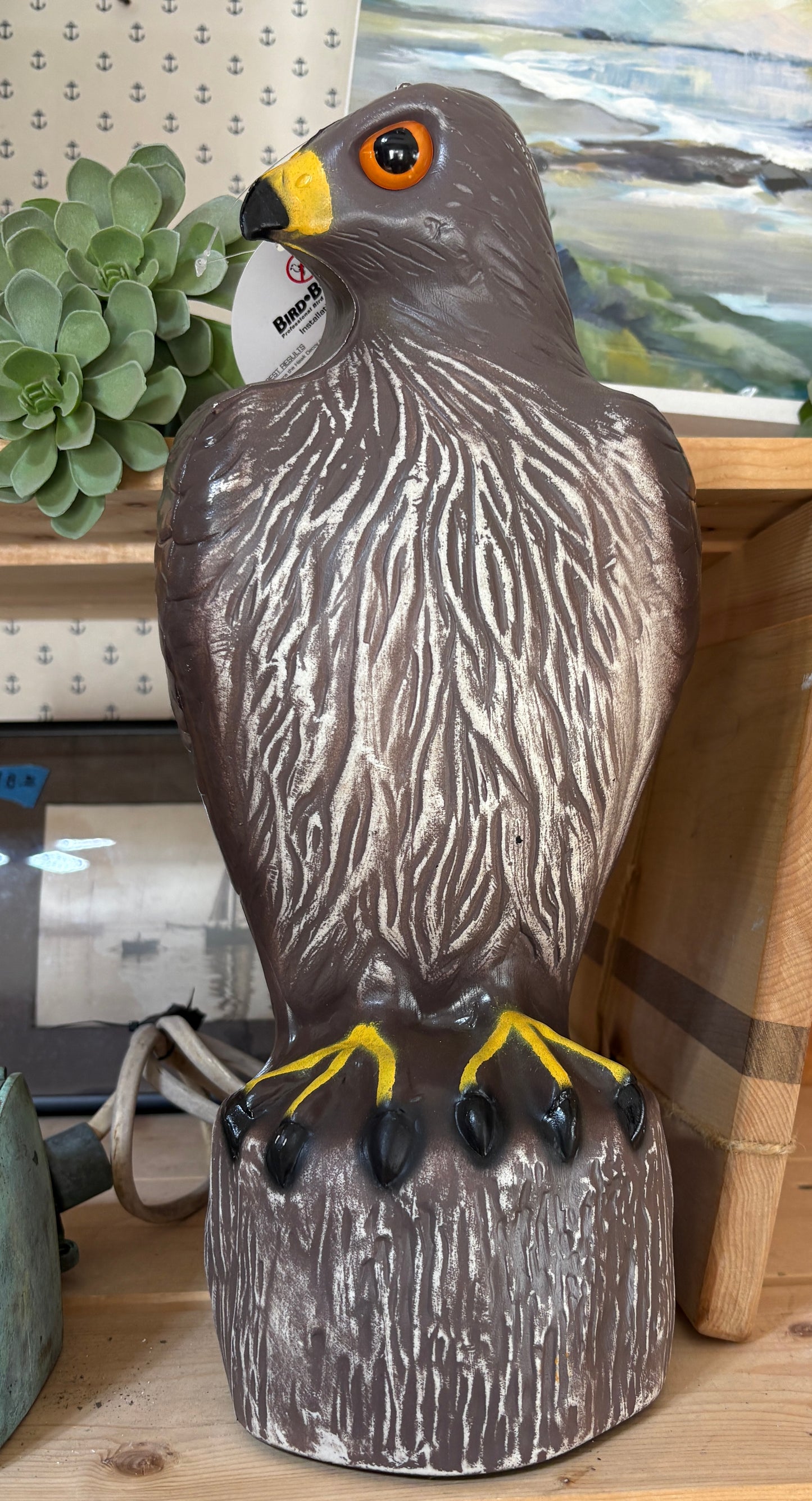 Hawk Decoy NEW