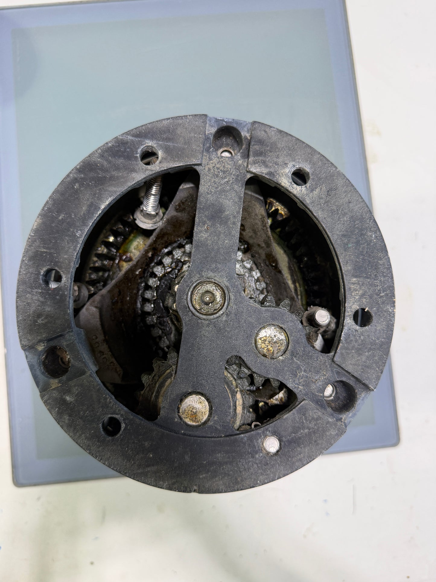 Maxwell 26 2-Speed Self Tailing Winch