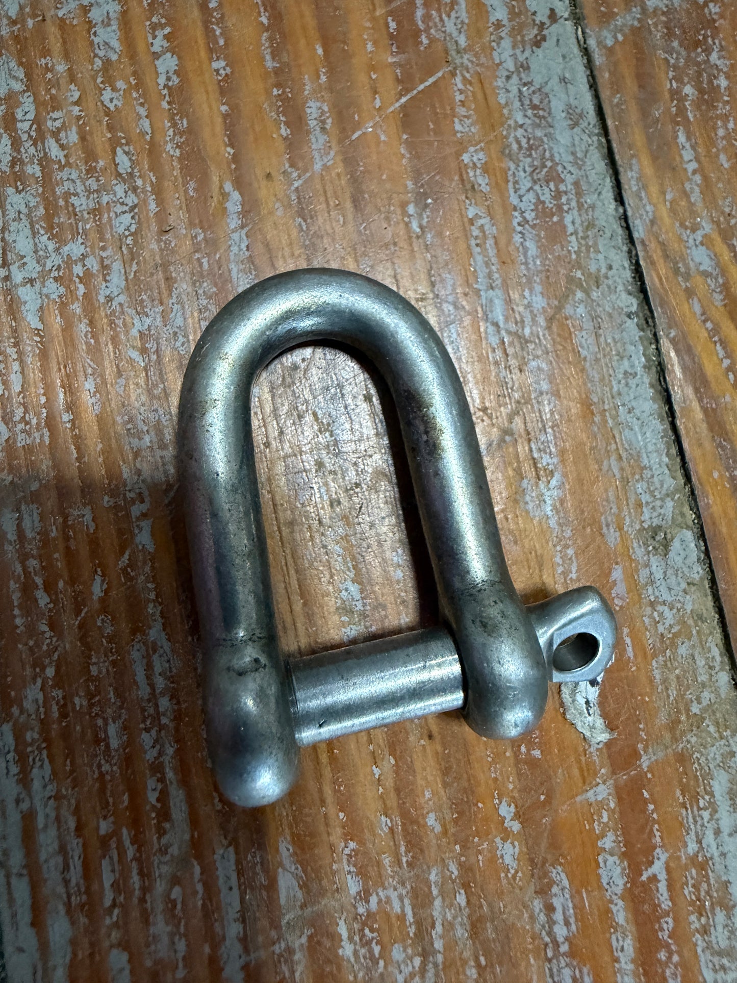 5/16" Stainless Steel D Shackle