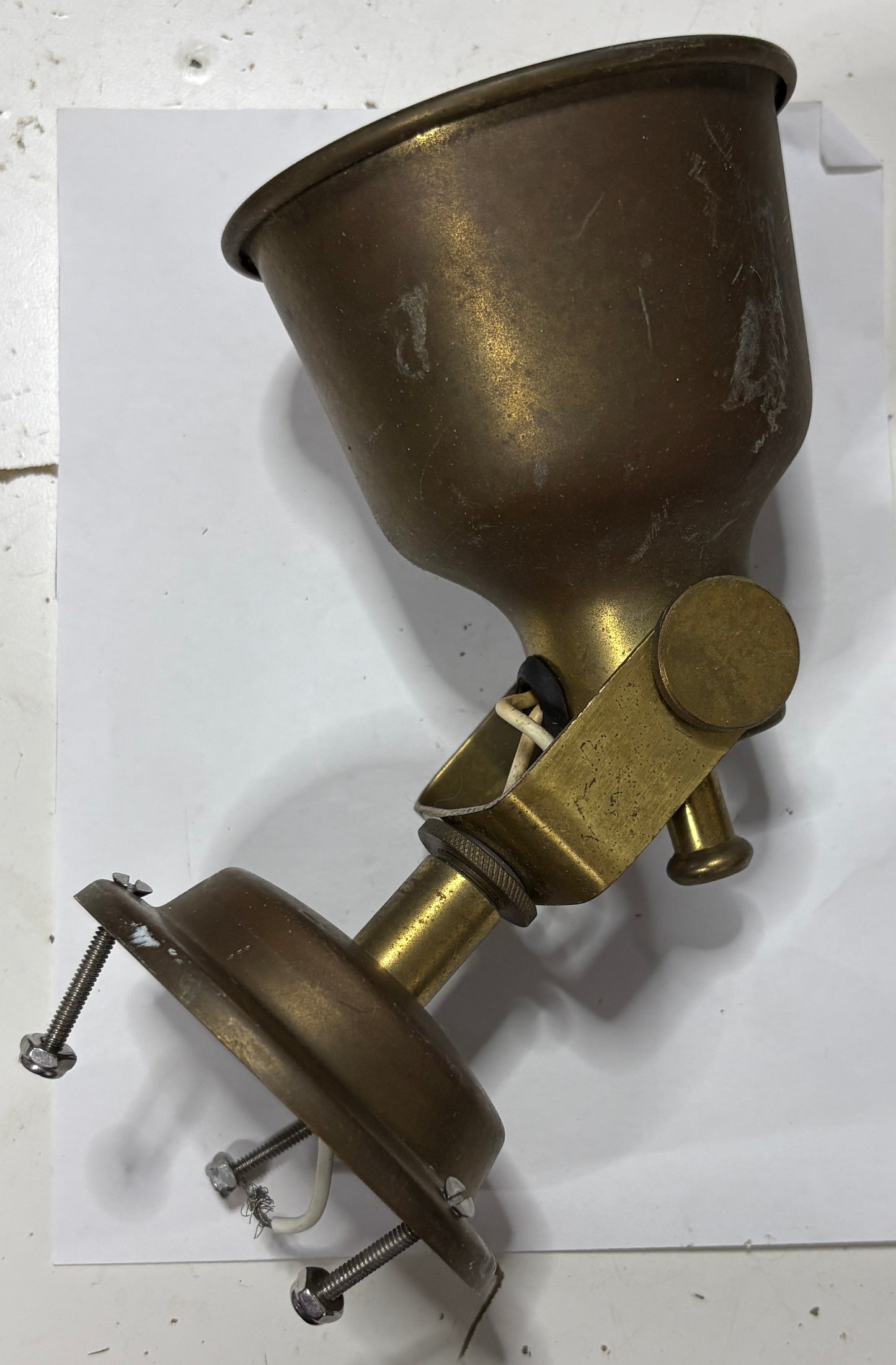 Brass Tilting Interior Light