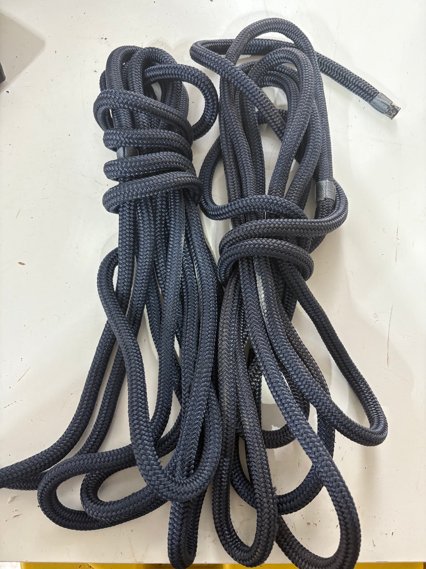 NEW Predator Navy Blue Dock Lines 1/2" /17' Long
