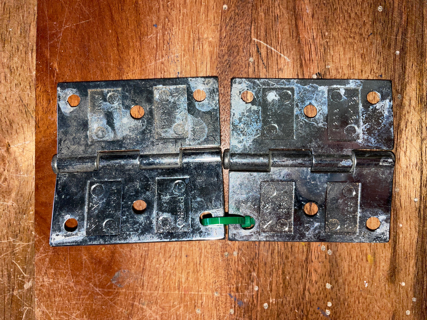 PAIR Stainless Steel Hinges