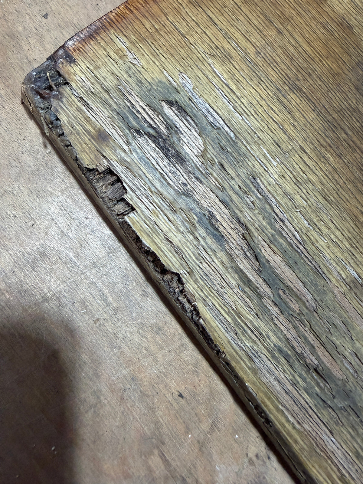 Morgan 415 Out Island - 3 Companionway Boards — #85