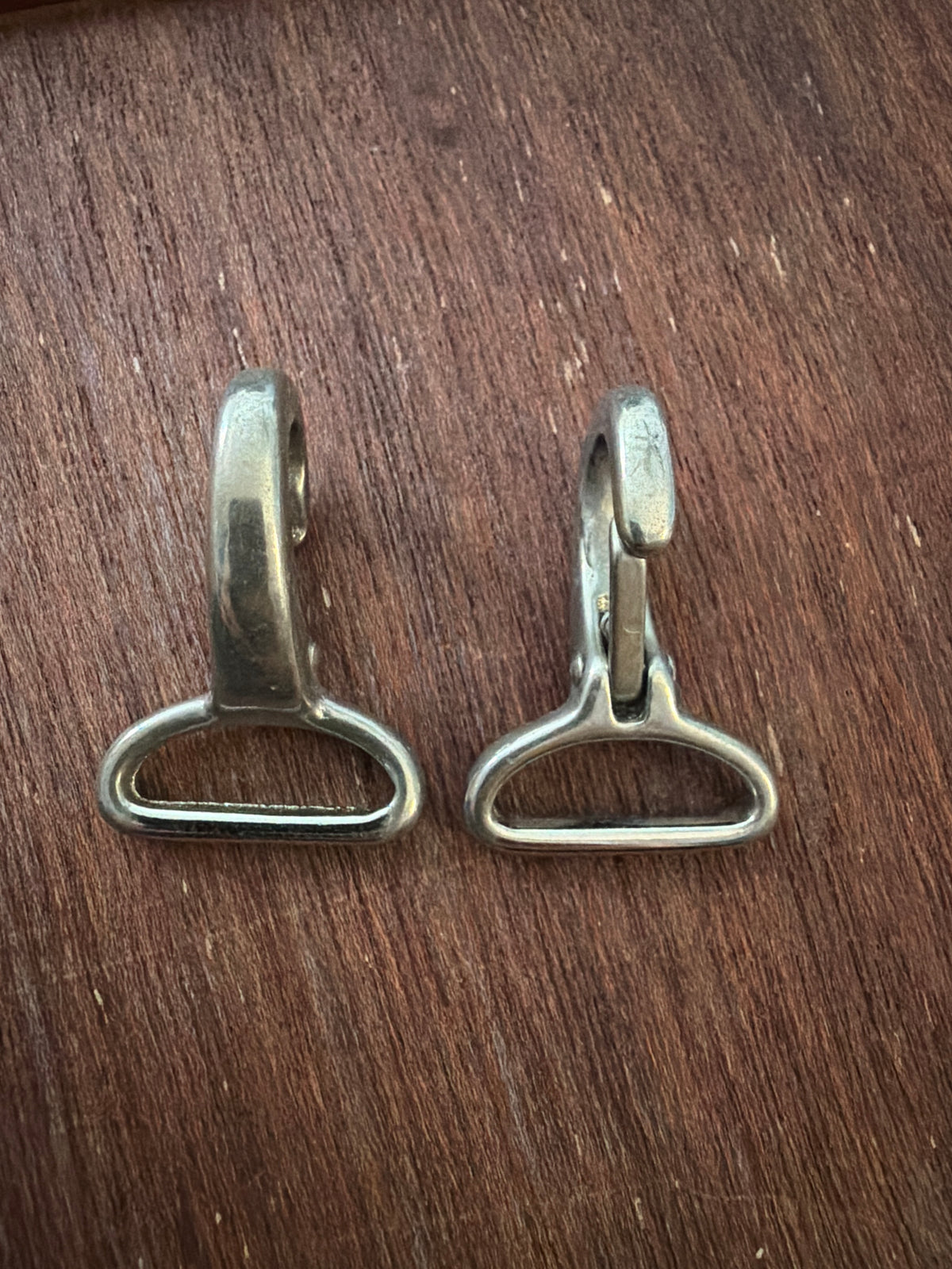 PAIR Stainless Steel Strap Clips