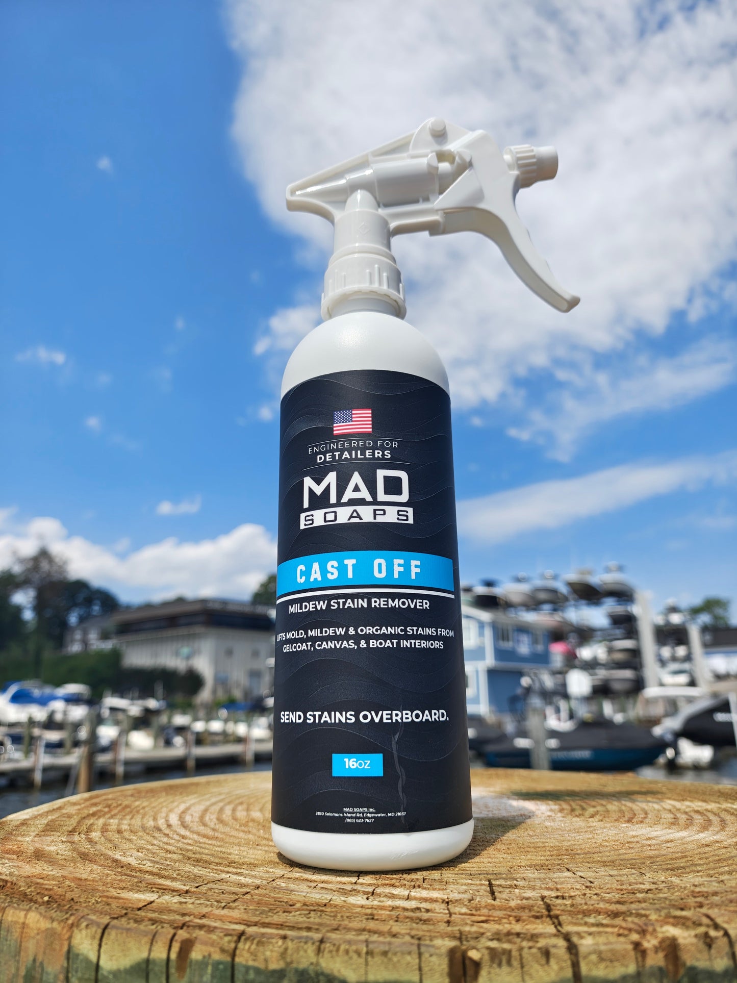 Cast Off - Mold & Mildew Stain Remover