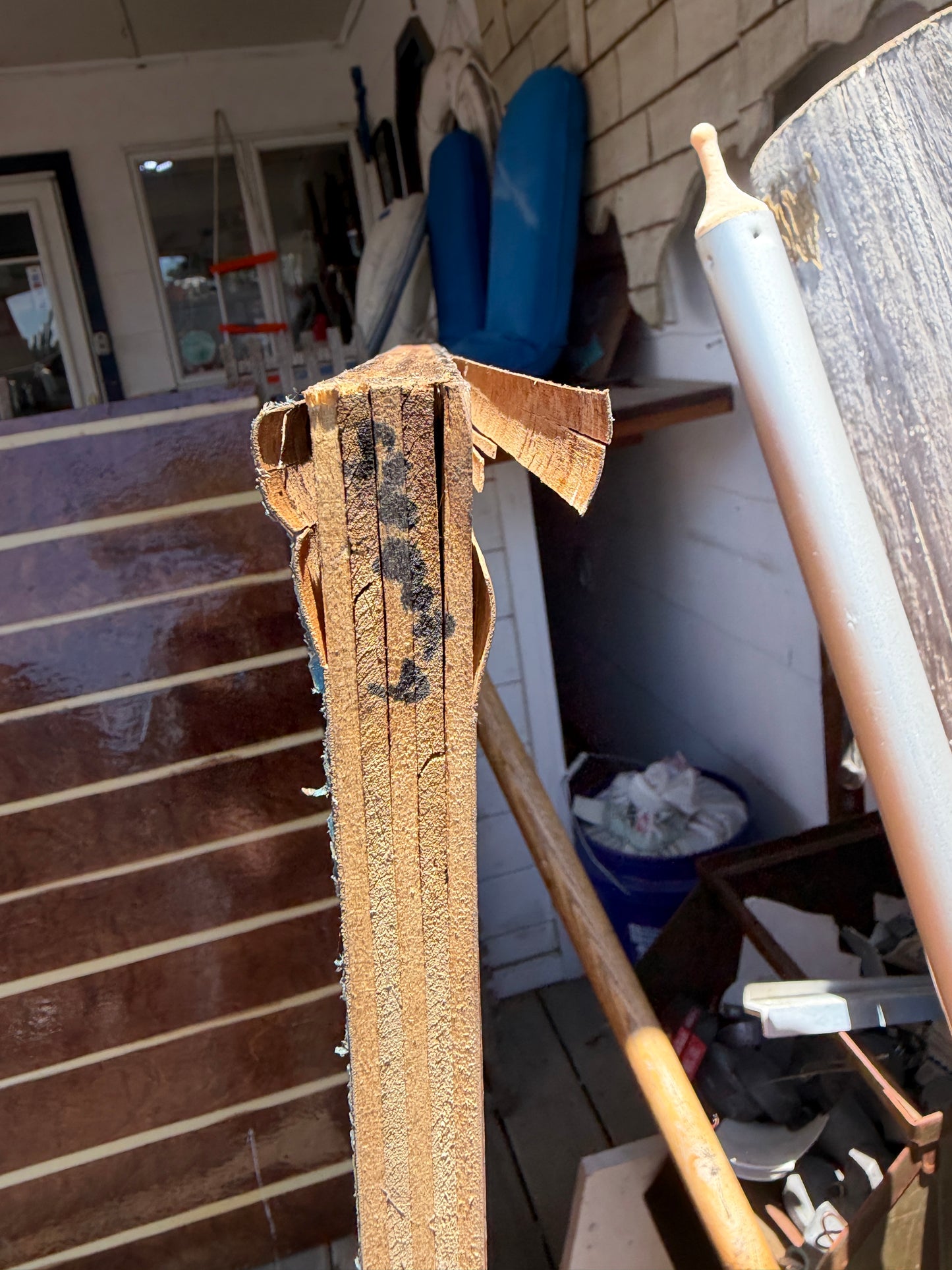 Teak and Holly Varnished Floor Board - 36" Wide x 48" Long x 3/4" Thickness -- #347