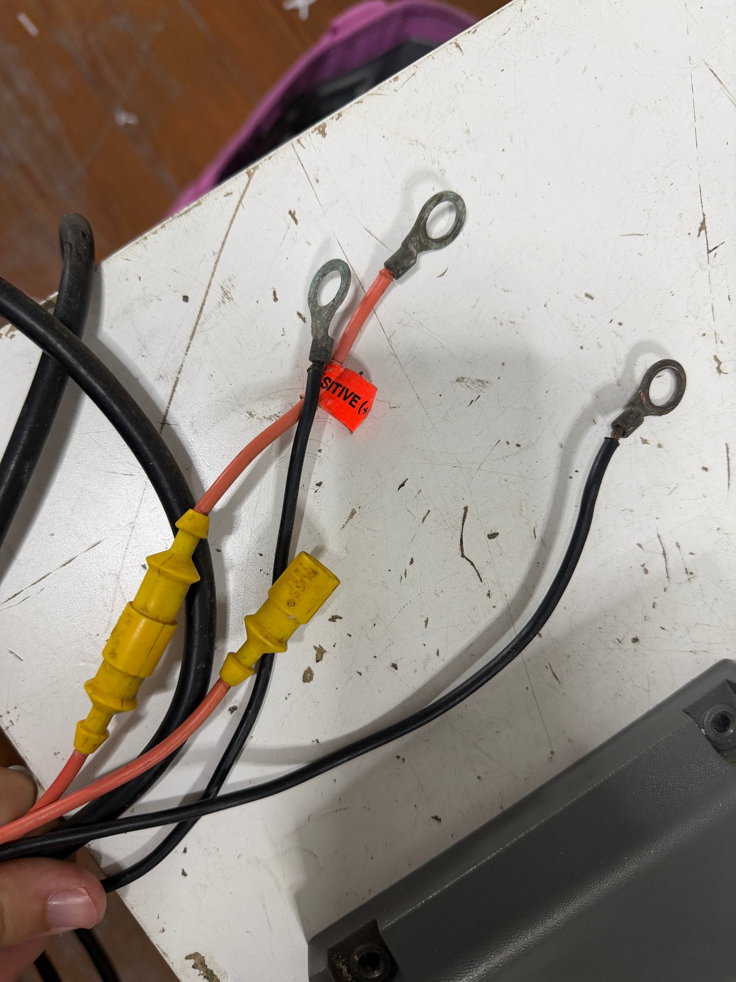 Guest 10amp Pro Charger - 12vdc