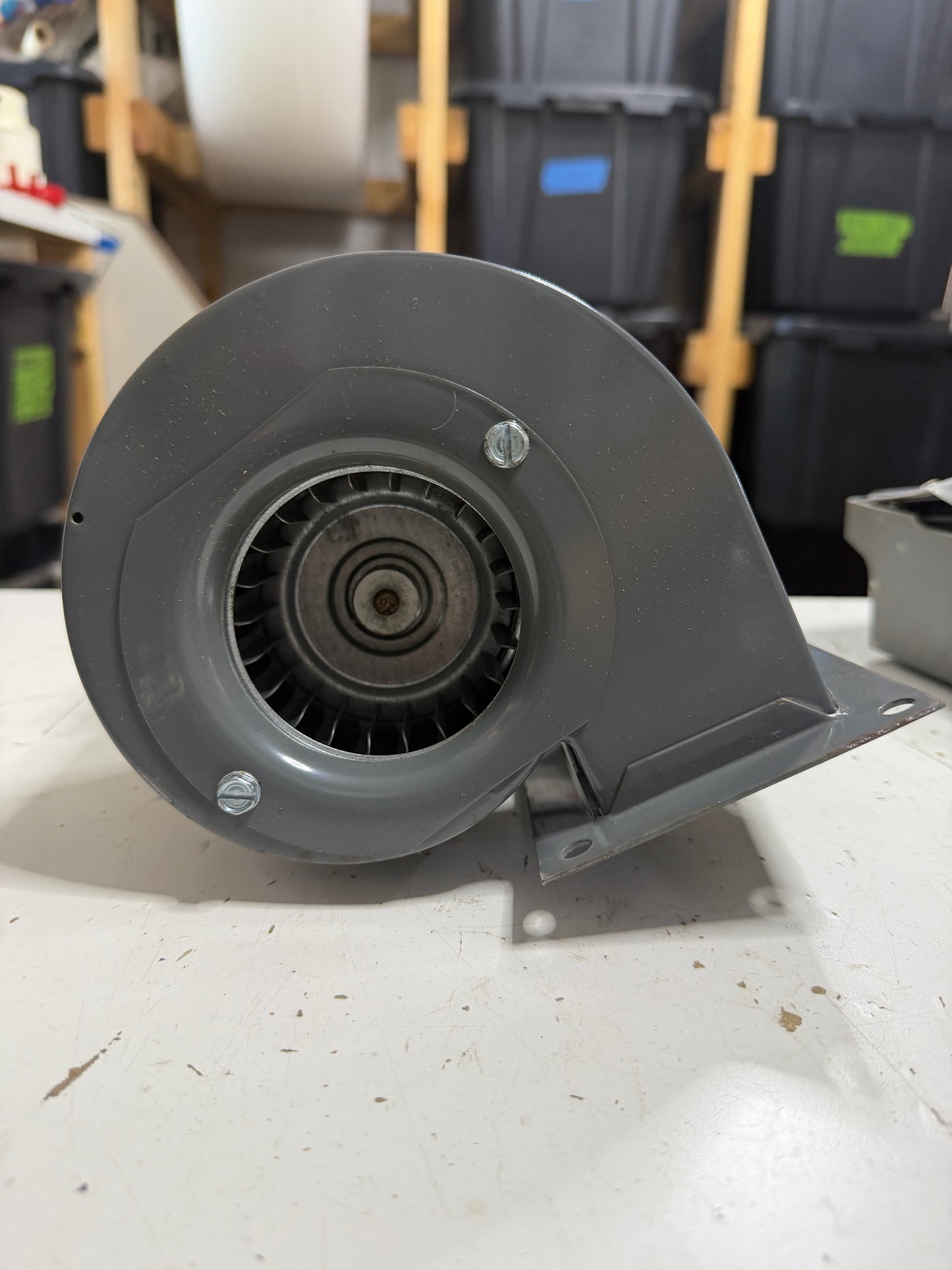 Dayton Shaded Pole Blower - 4C004A