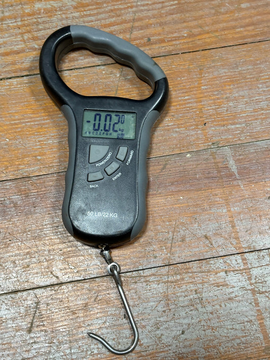 Digital Scale 50 LB