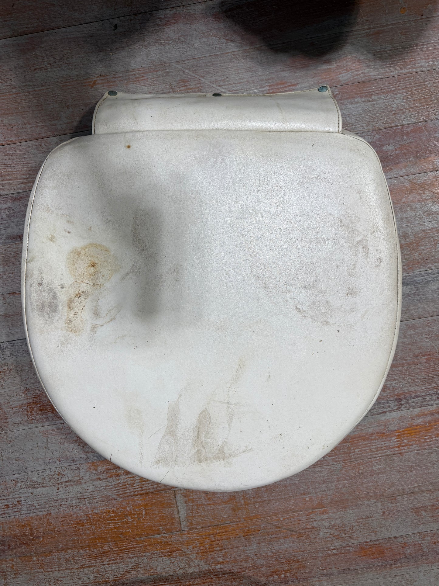 Forespar Horseshoe Ring In Cushion Style Case