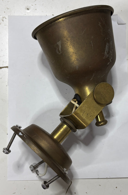 Brass Tilting Interior Light