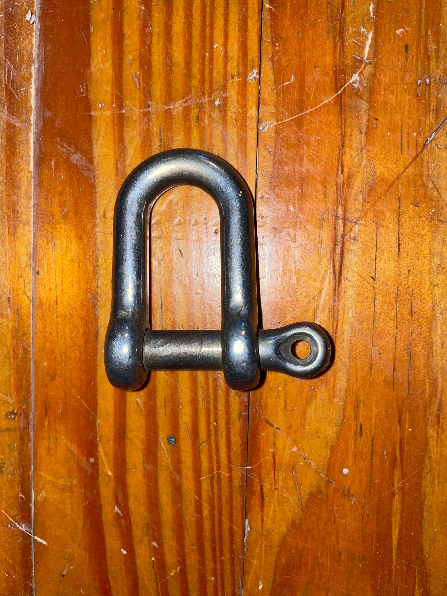 SS 3/4” D Shackle Screw Pin