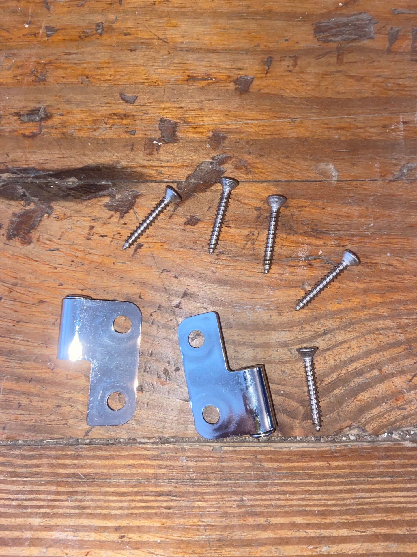 Gem Lux Stainless Hinge Halves With Screws NEW