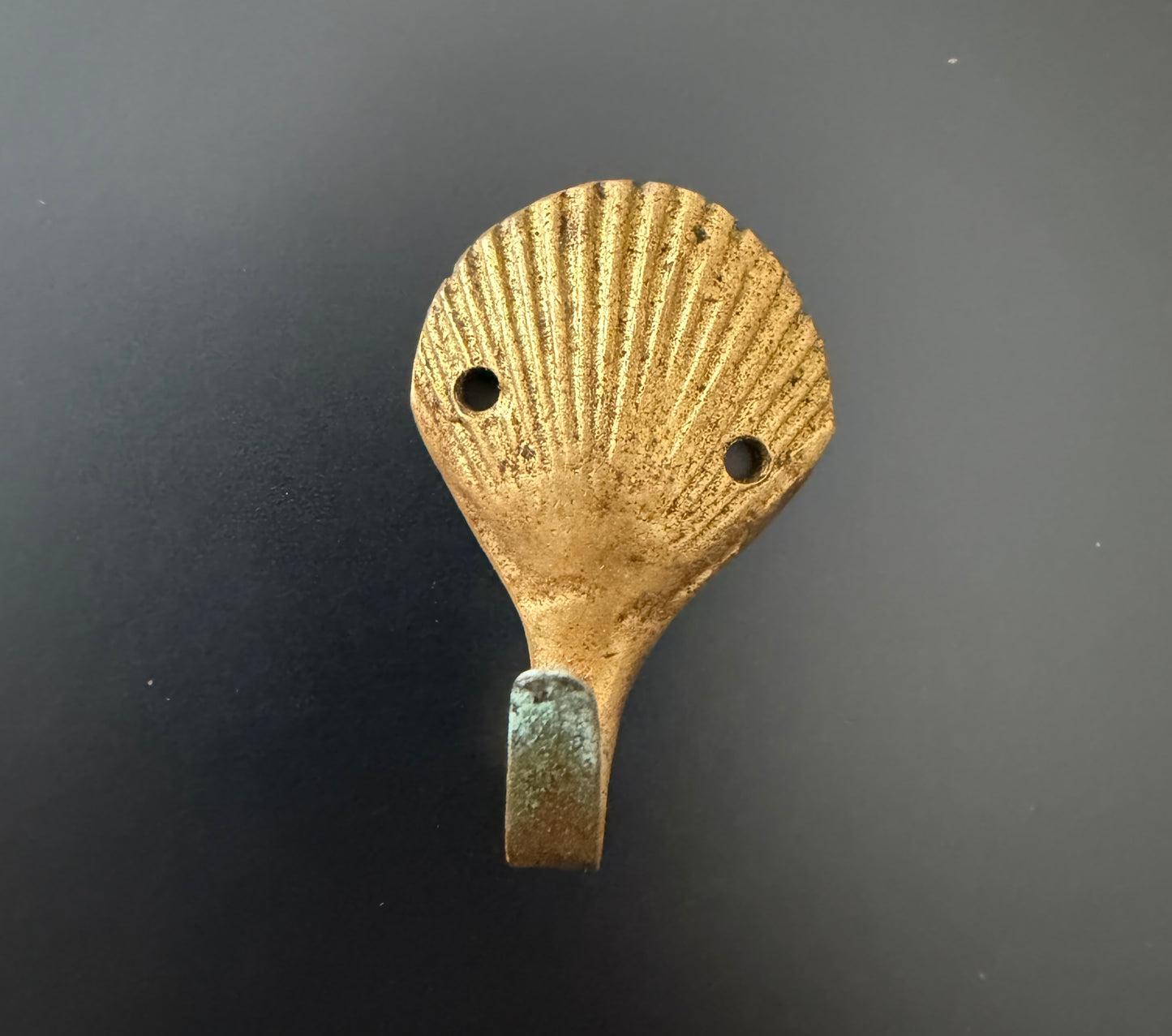 Small Brass Shell Hook