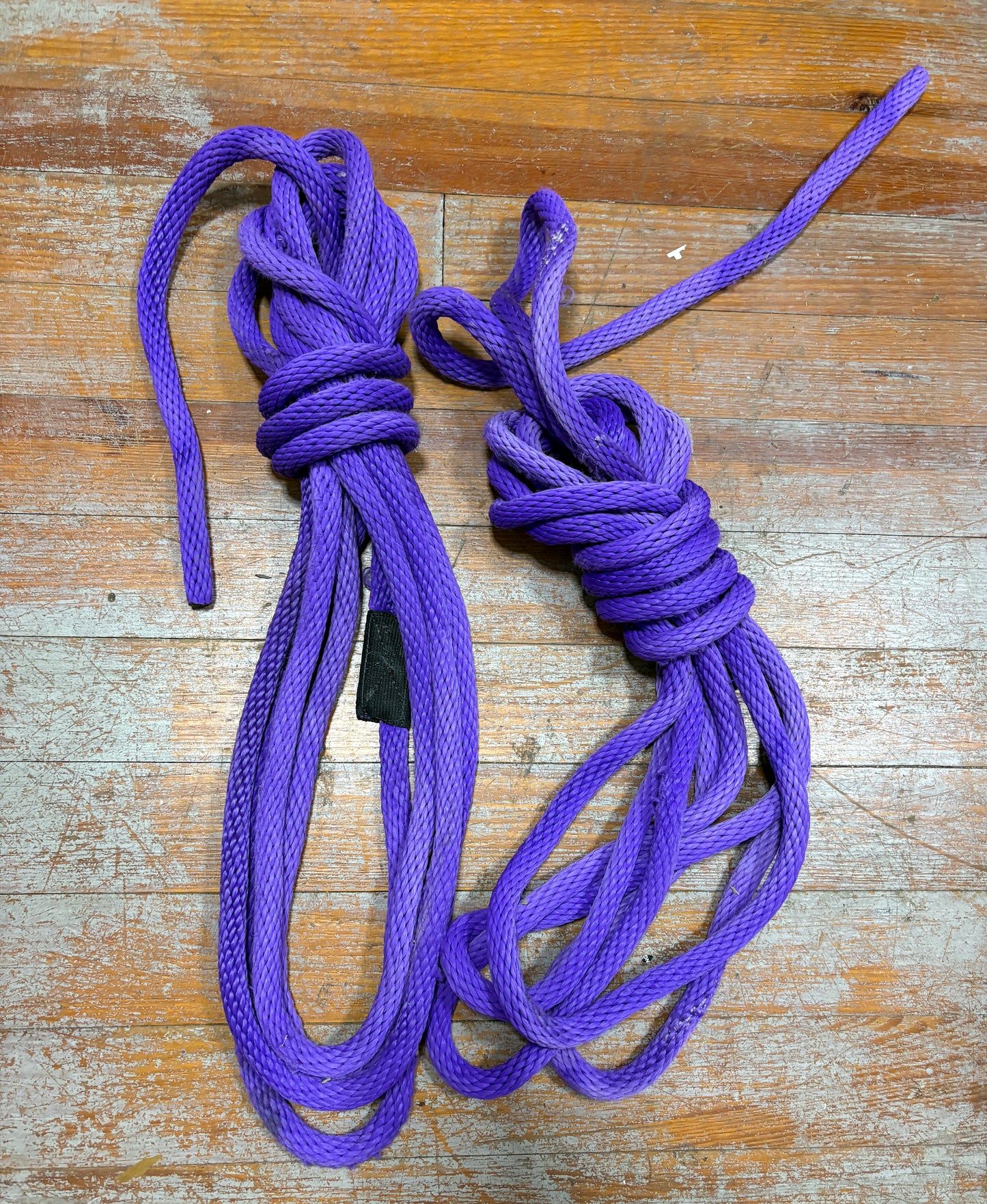 Purple 24' 3/4" Dock Line Pair