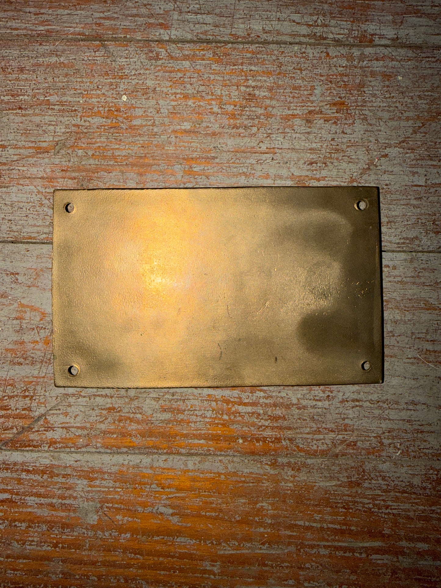 U.S. Coast Guard Maximum Capacities Bronze Plaque -- #83