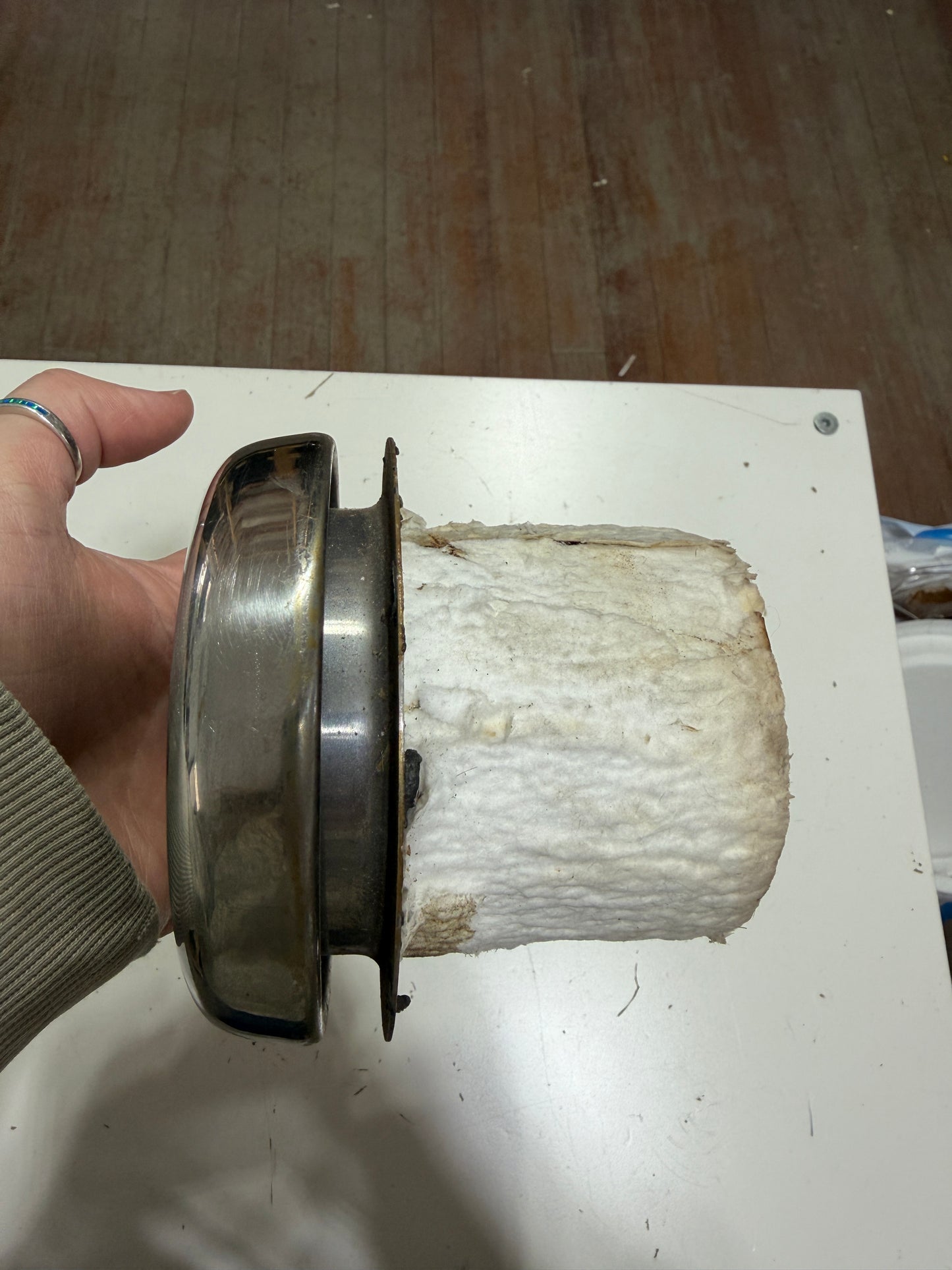 3 1/4" Stainless Mushroom Vent