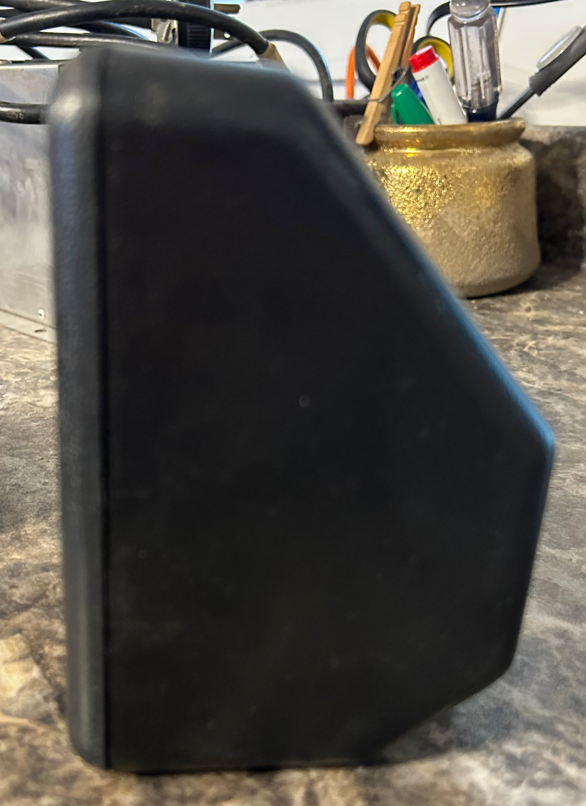 PAIR Maxxima Speakers