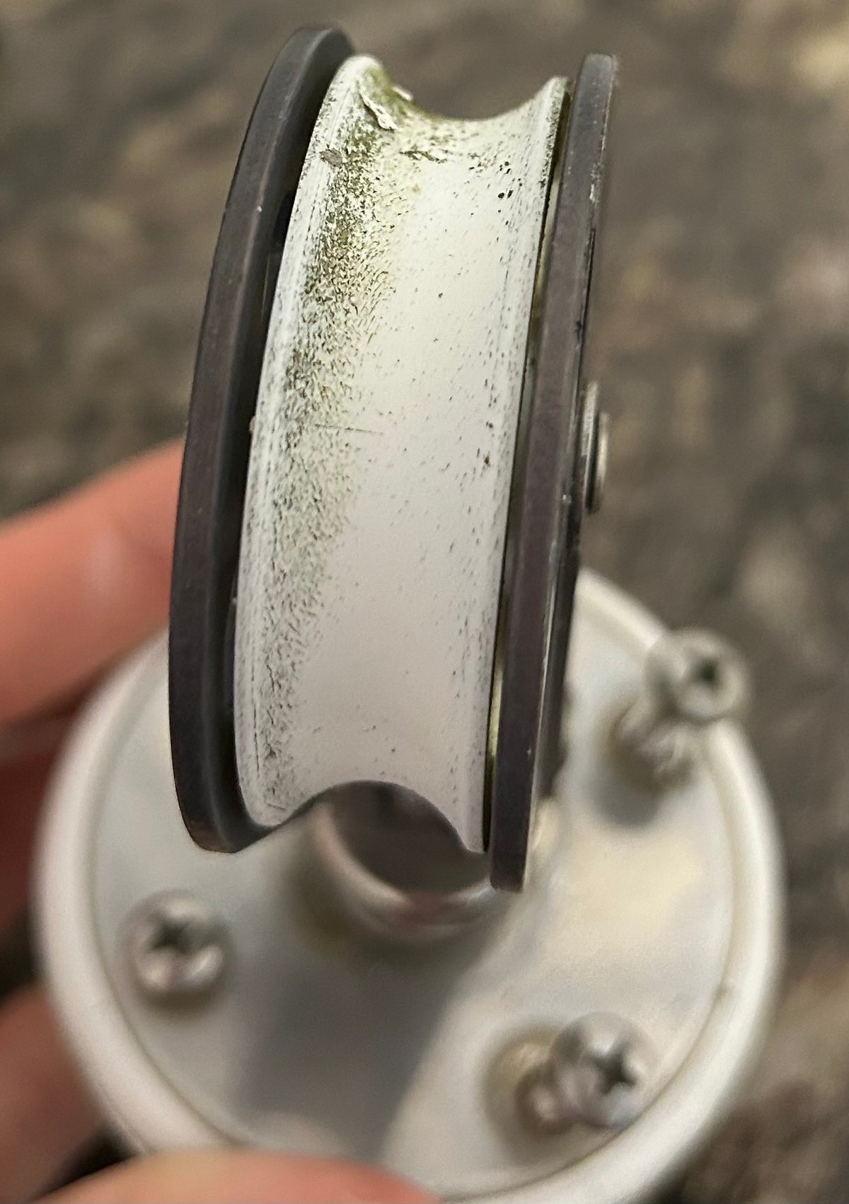 Scheafer Stand up swivel Block 2 1/4" sheave - 1/2" line
