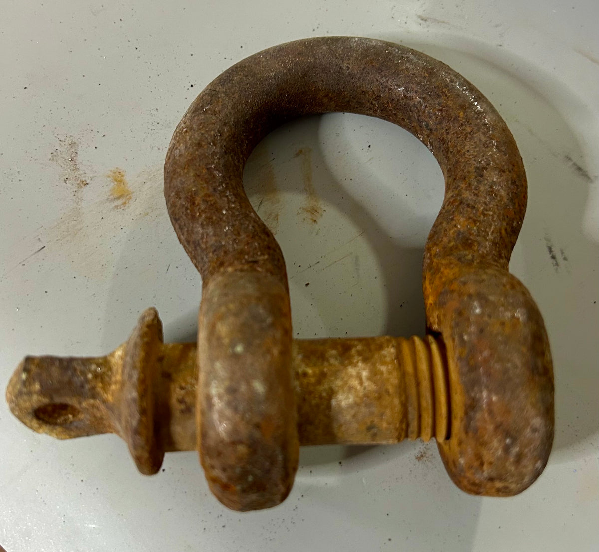 Large Rusted Bow Shackle
