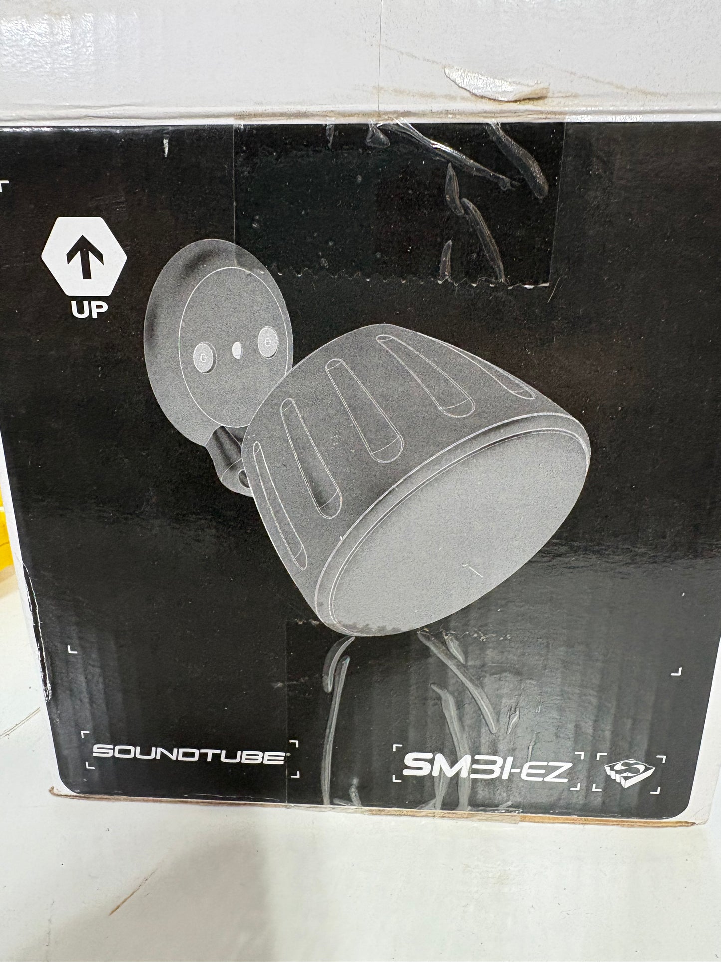 PAIR Soundtube SM31-EZ-BK Speaker