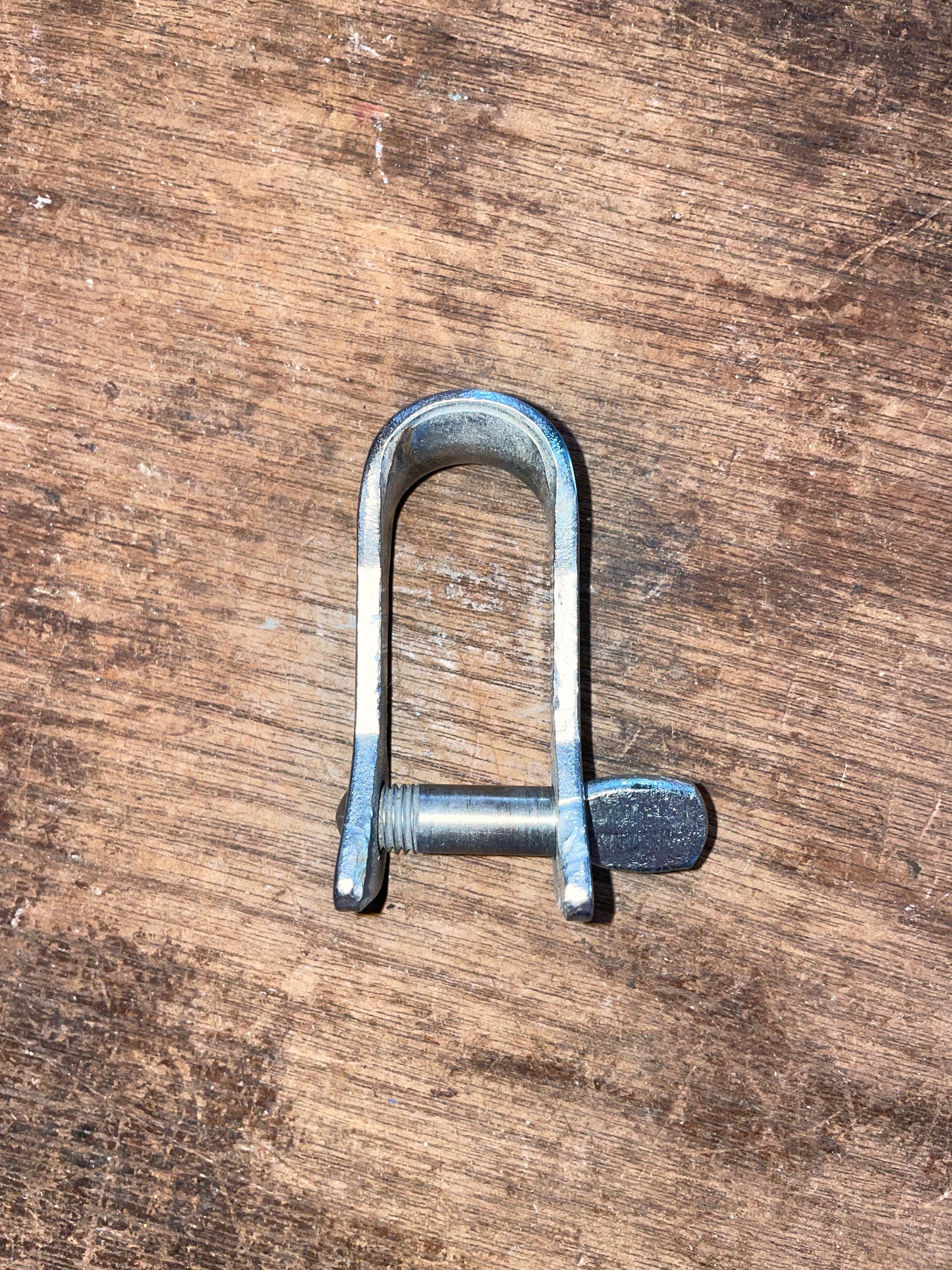 SS Forked Shackle- 3/4” Width