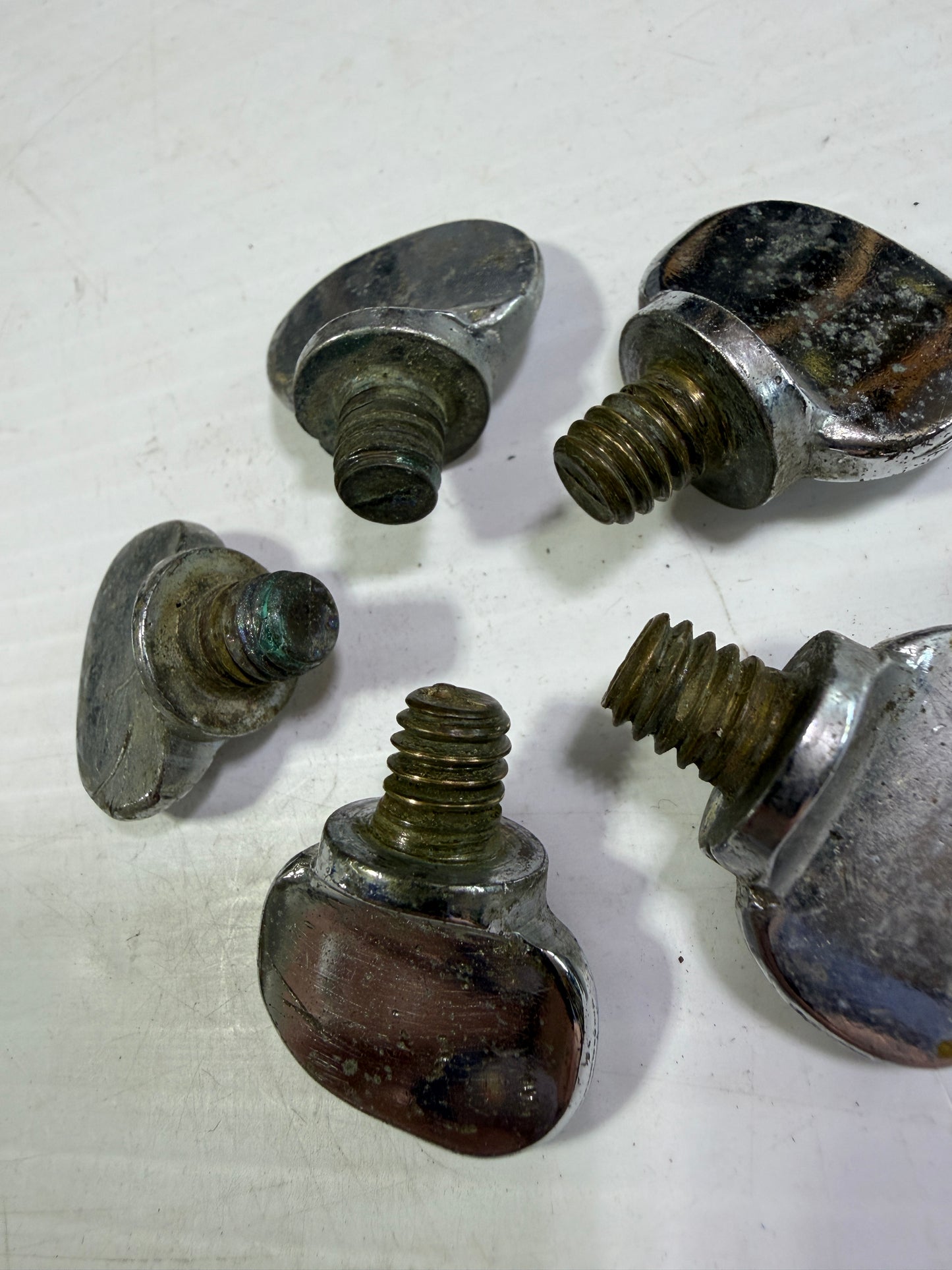 LOT of 5 Dog Nuts Porthole / Portlight