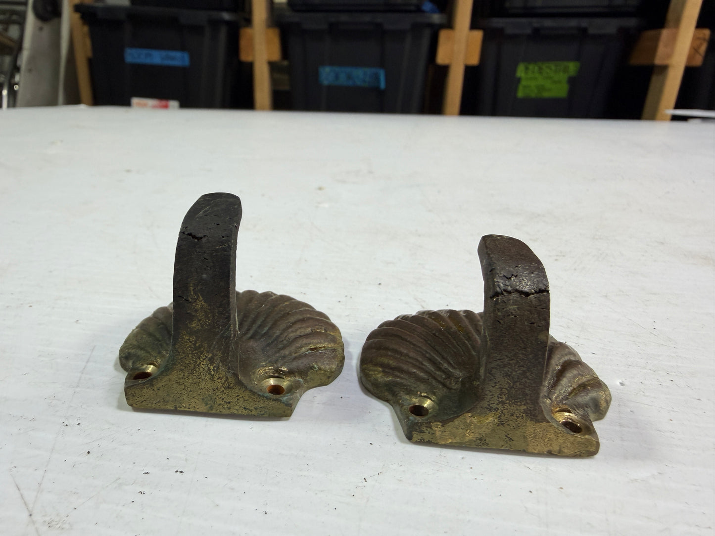 PAIR Brass SeaShell Hooks - Cracking