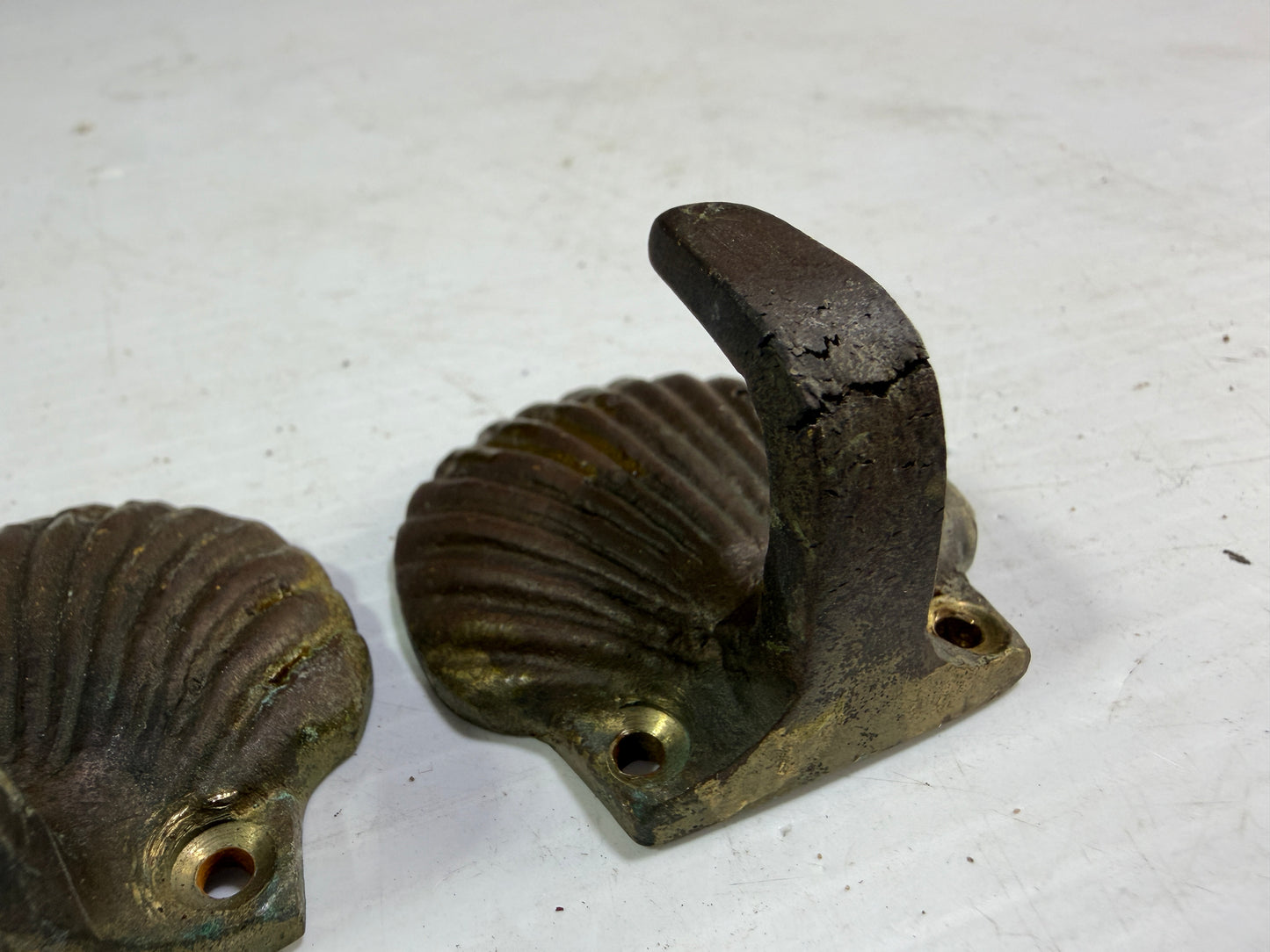 PAIR Brass SeaShell Hooks - Cracking