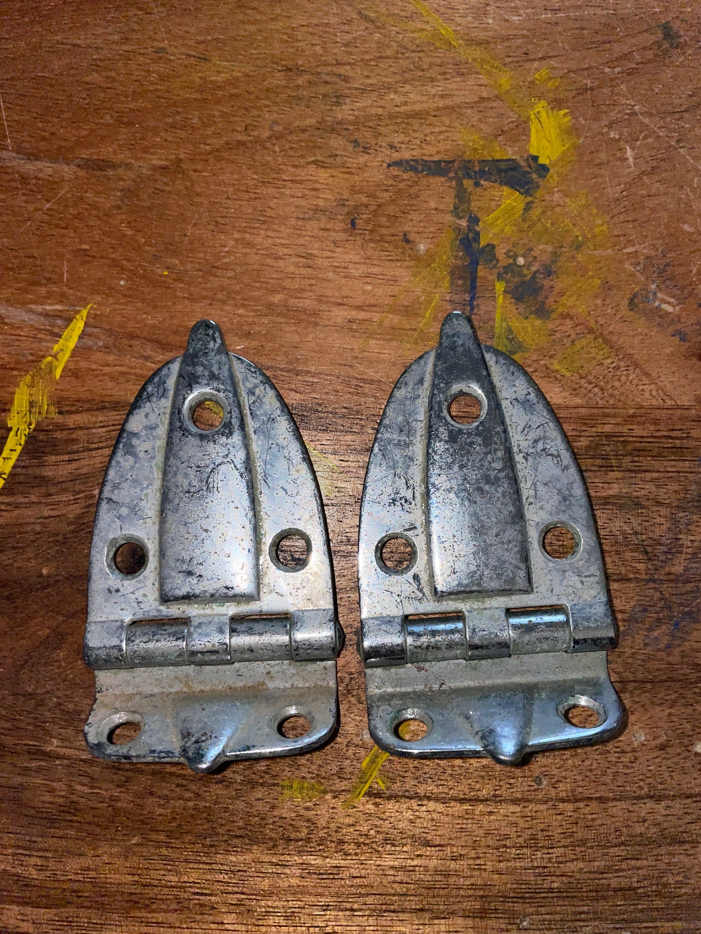 PAIR Stainless Steel Hinges