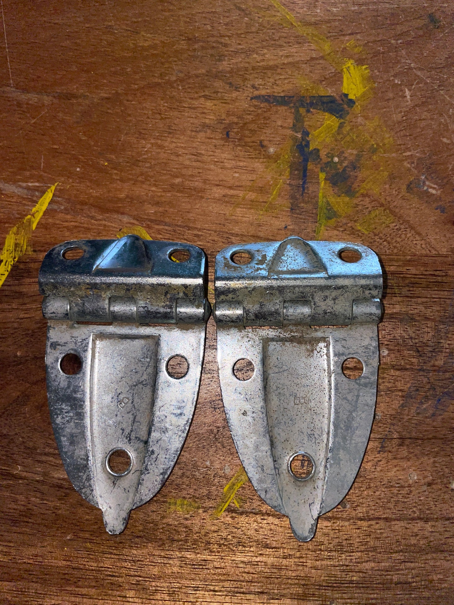 PAIR Stainless Steel Hinges